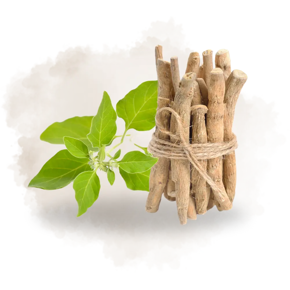 Ashwagandha Root